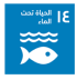 SDG 14: Life Below Water